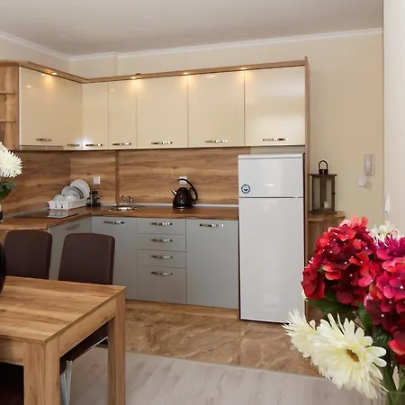 公寓式酒店 Sardinia And 圣弗拉斯